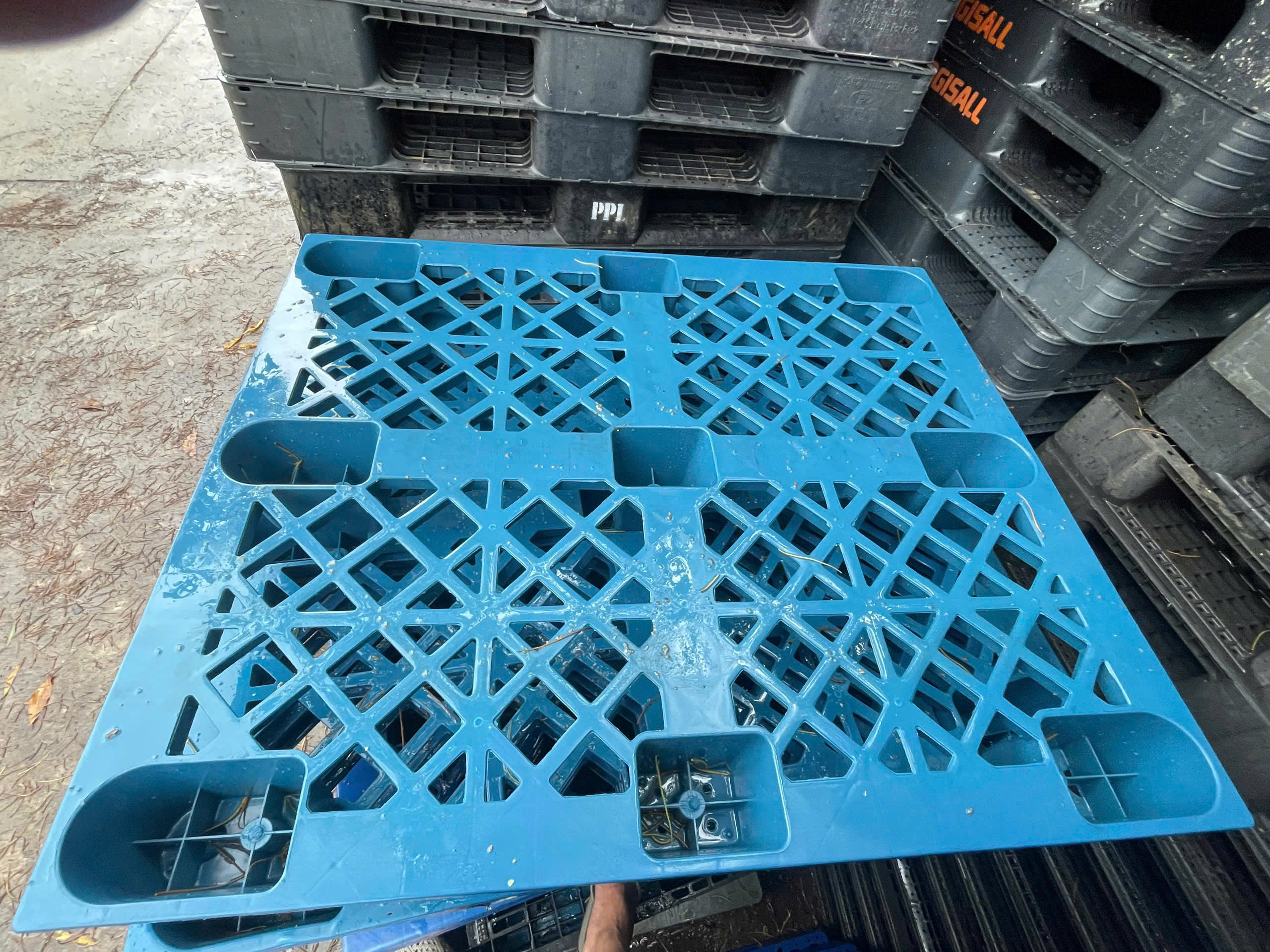 Thanh lý pallet nhựa cốc